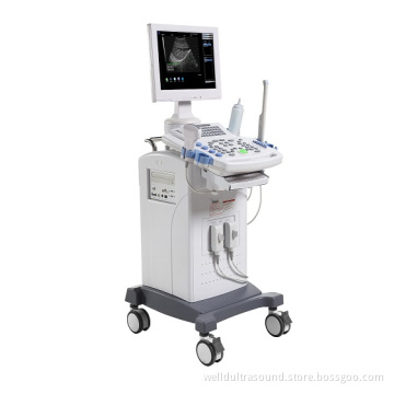 Full Digital Diagnostic System